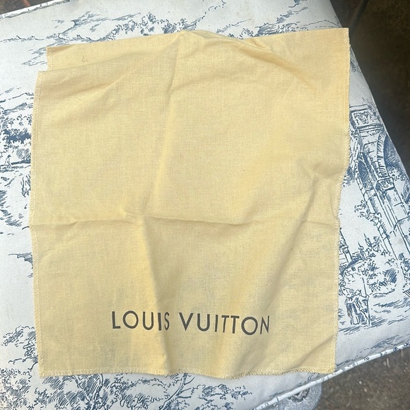 Louis Vuitton Bag - Picture 1 of 2